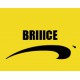 T-shirt humour "Briiice" Brice de nice"