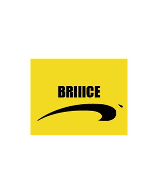 T-shirt humour "Briiice" Brice de nice"
