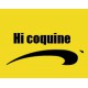 T-shirt humour " Hi coquine" by brice de nice