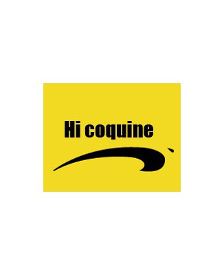 T-shirt humour " Hi coquine" by brice de nice